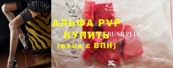 СК Вязьма