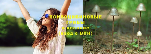 СК Вязьма