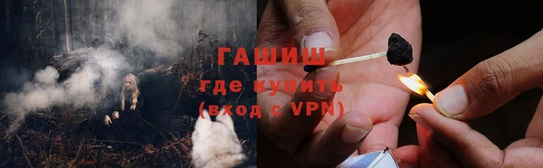 СК Вязьма