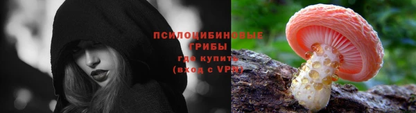 СК Вязьма
