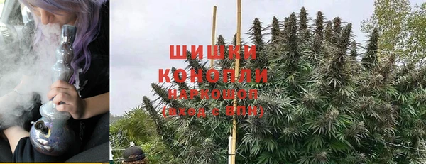 СК Вязьма