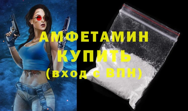 СК Вязьма