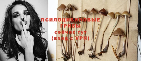 СК Вязьма