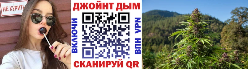 купить наркотики цена  Железногорск  Конопля ГИДРОПОН 